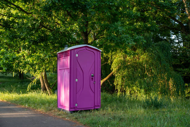Best Affordable portable toilet rental  in Riverview, MI